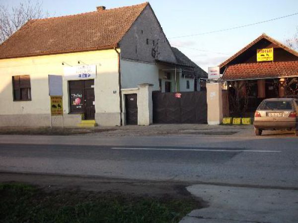 Novi Sad, Futog, prodaja, starija kuća i lokali, sa okućnicom, 1450m2