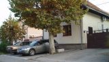 Novi Sad, Petrovaradin, prodaja, porodična kuća površine 110m2
