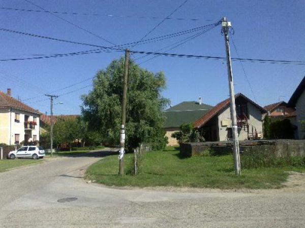 Novi Sad, Veternik, prodaja, plac sa podrumom i prvom pločom 100m2
