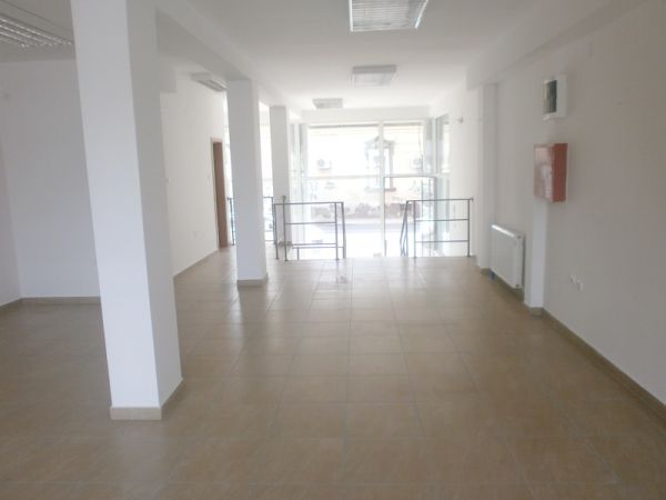 Novi Sad, Centar, iznajmljivanje ili prodaja, poslovni prostor 160m2