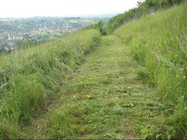 Novi Sad, Sremska Kamenica, prodaja placa površine 1200m2