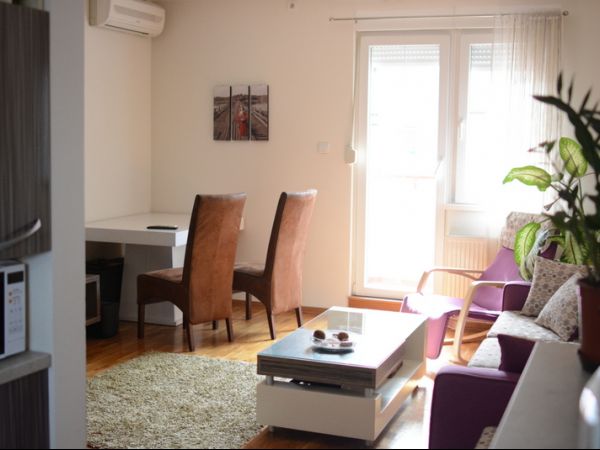 Novi Sad, Centar, prodaja dvosobnog stana površine 51m2
