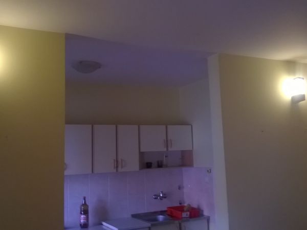 Novi Sad, Detelinara, izdavanje troiposobnog stana površine 81m2