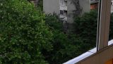 Novi Sad, Bulevar oslobođenja, izdavanje dvoiposobnog stana površine 53m2