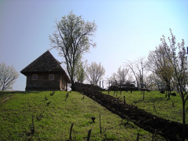 Plac, 2500m2, Karagači