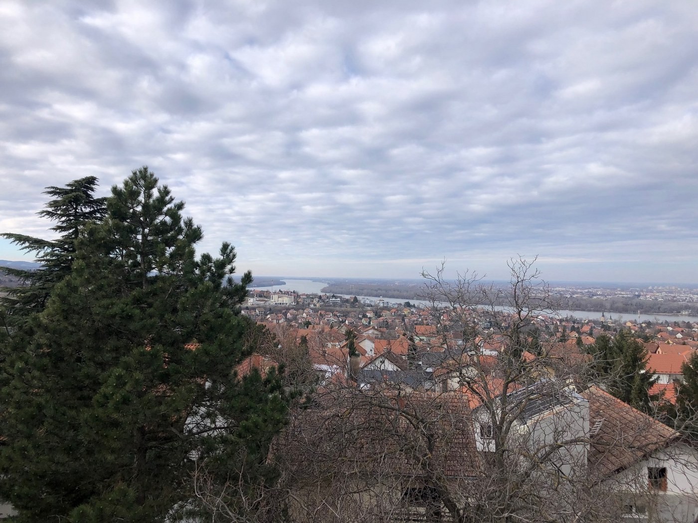 prodaja, kuće, sremska kamenica, 430m2